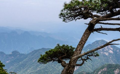 化太岁祈福注意事项